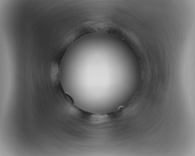 X0000115490480200911131239