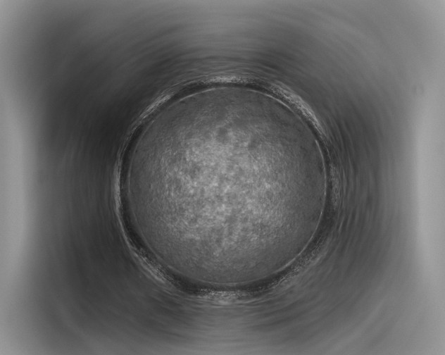 X0000115490482200911131238