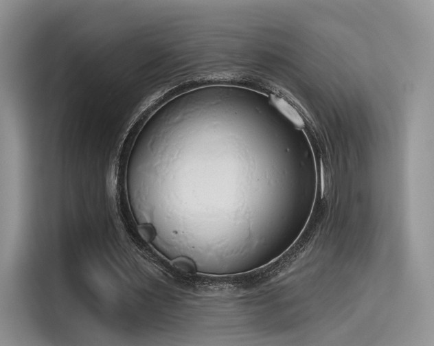 X0000115490483200911131238