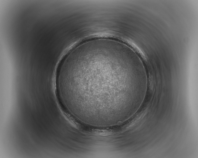X0000115490486200911131238