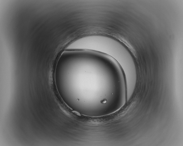 X0000115490489200911131238