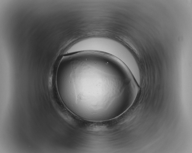 X0000115490491200911131238