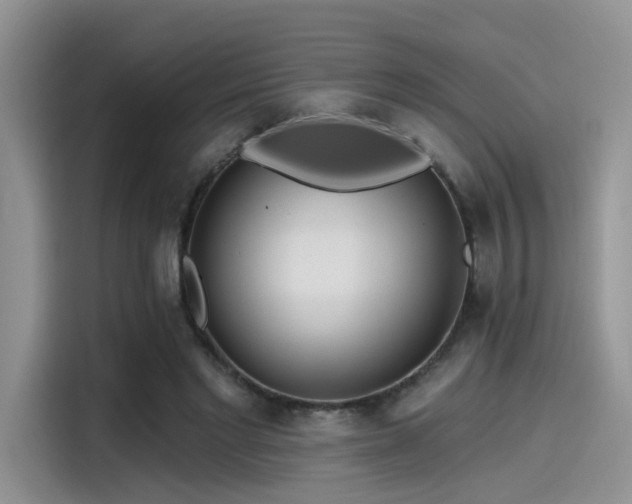 X0000115490493200911131238
