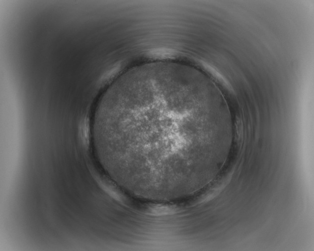 X0000115490494200911131238