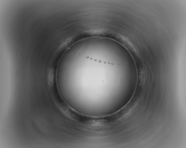 X0000115490495200911131238