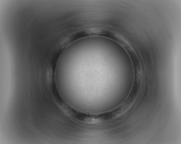 X0000115490498200911131238