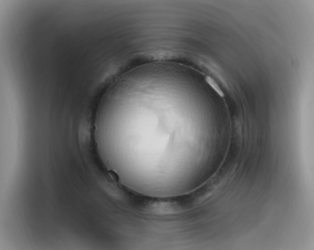 X0000115490499200911131238