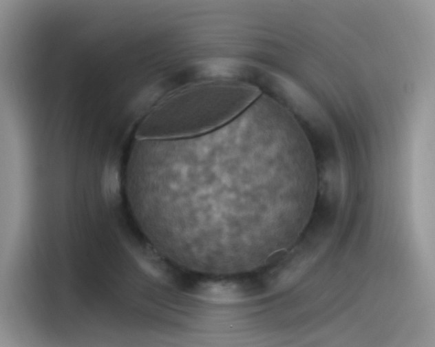 X0000115490500200911131238