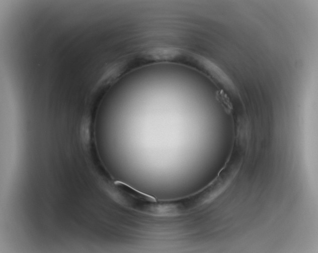 X0000115490501200911131238