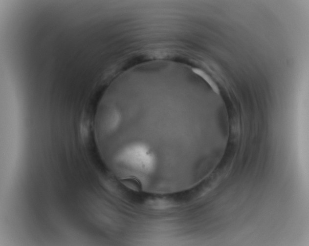 X0000115490503200911131238