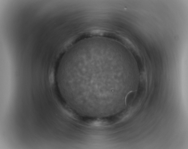 X0000115490504200911131238