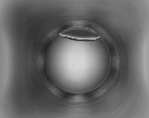 X0000115490505200911131238
