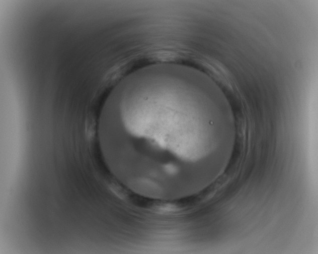 X0000115490507200911131238