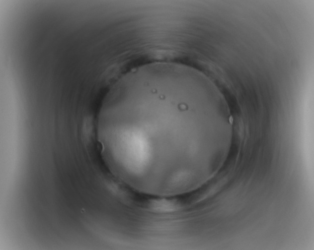 X0000115490511200911131238