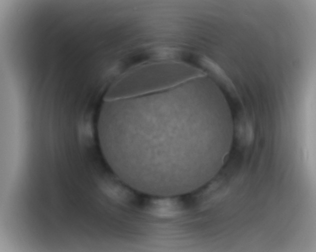 X0000115490516200911131238