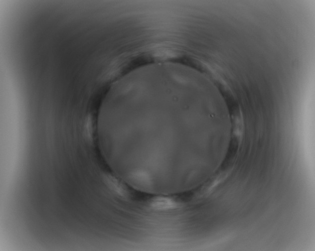 X0000115490519200911131238
