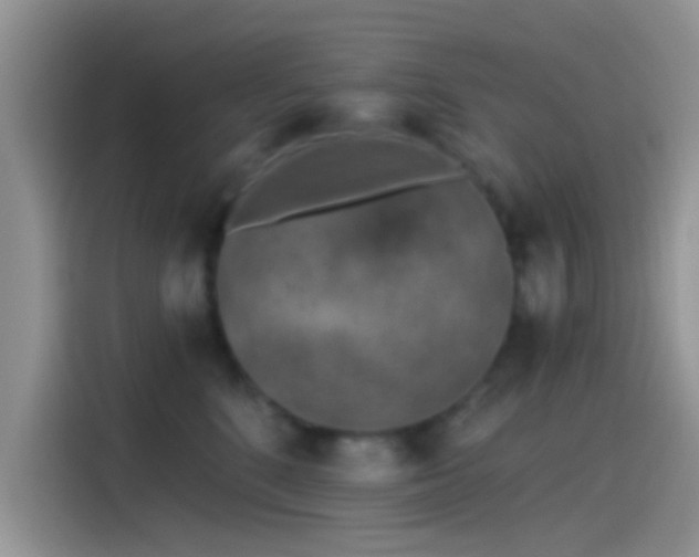 X0000115490520200911131238
