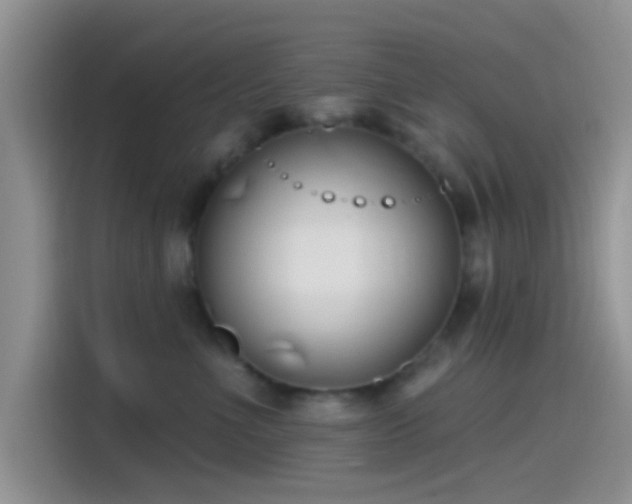X0000115490523200911131238
