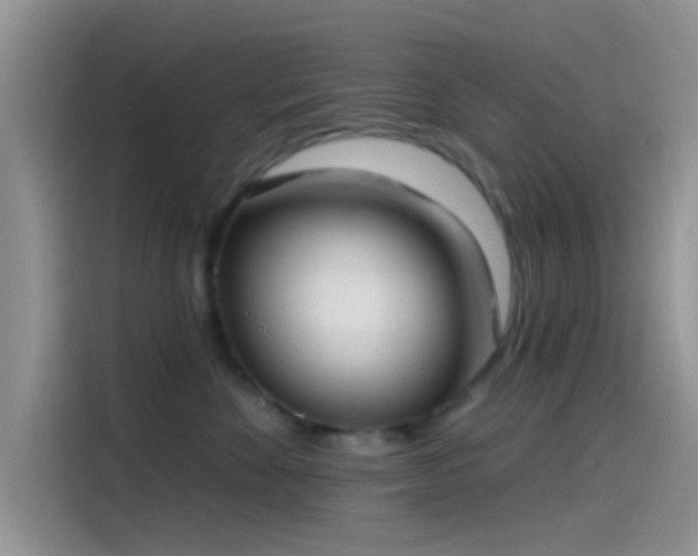 X0000115490524200911131238