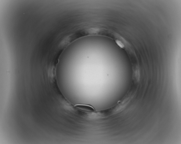 X0000115490525200911131238