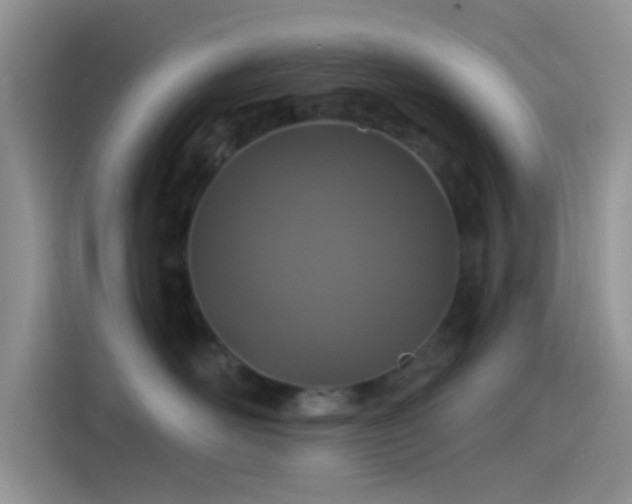 X0000115490526200911131238