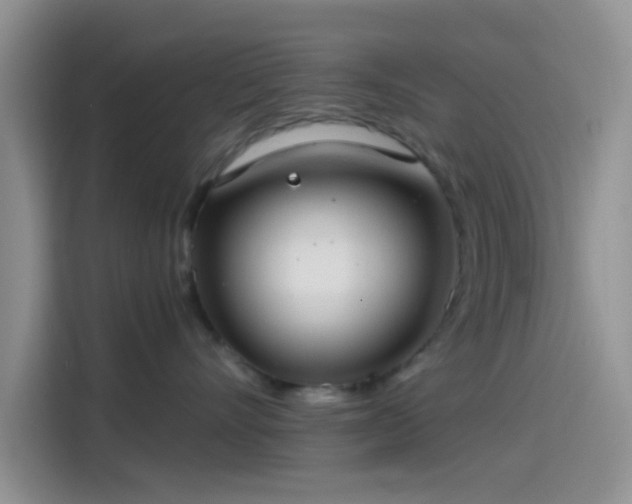 X0000115490528200911131238