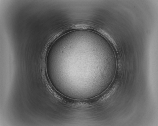 X0000115490529200911131237
