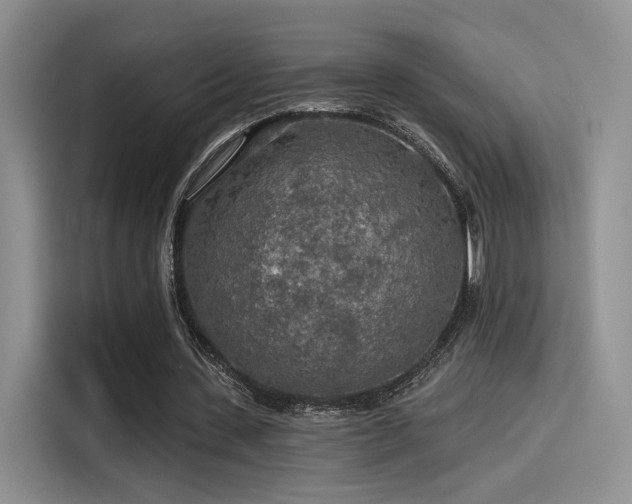 X0000115490531200911131237