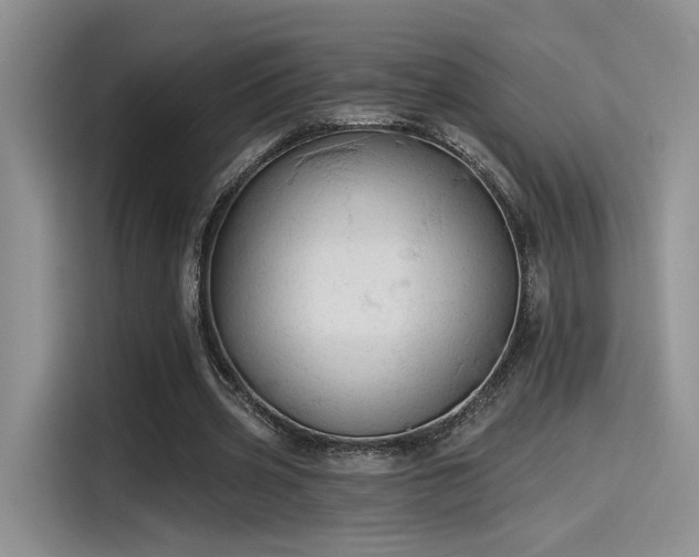X0000115490533200911131237