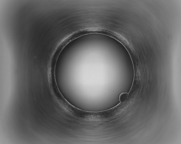 X0000115490535200911131237