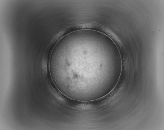 X0000115490537200911131237