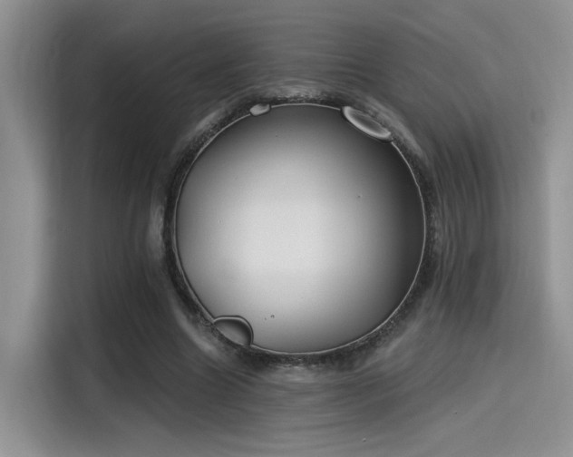 X0000115490538200911131237
