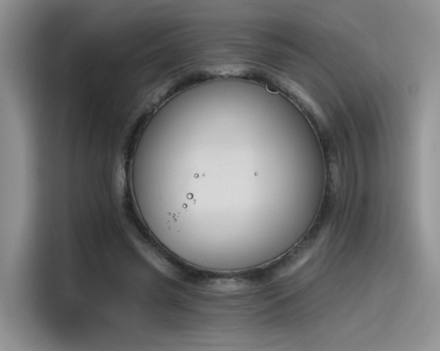 X0000115490541200911131237