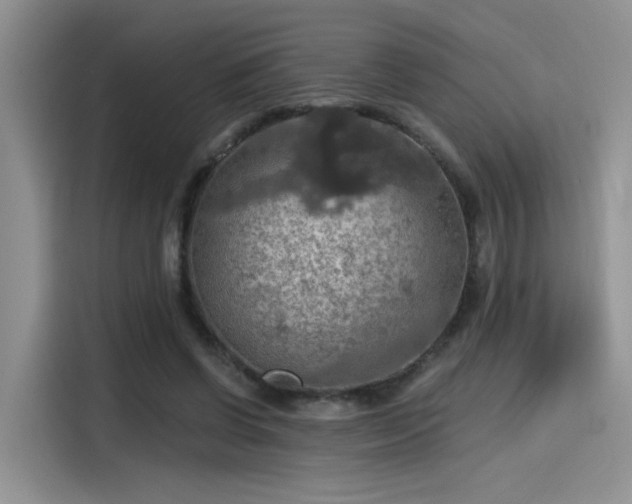 X0000115490542200911131237