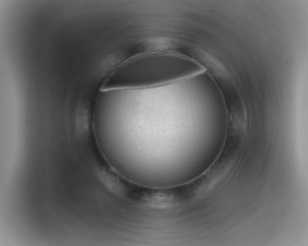 X0000115490546200911131237