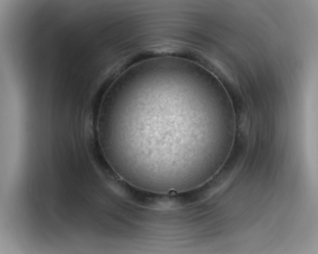 X0000115490547200911131237
