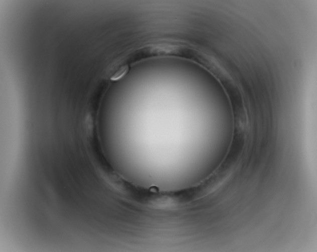 X0000115490551200911131237