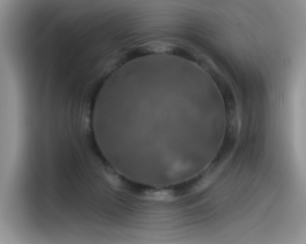X0000115490553200911131237