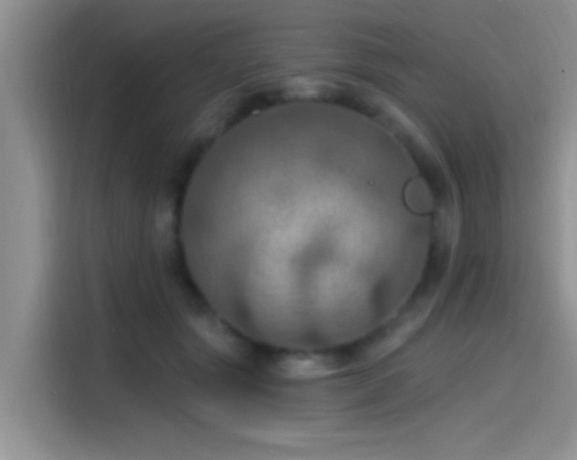 X0000115490557200911131238