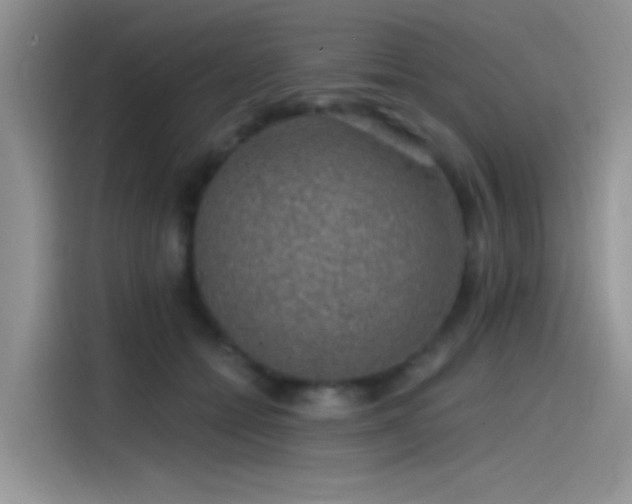 X0000115490558200911131238