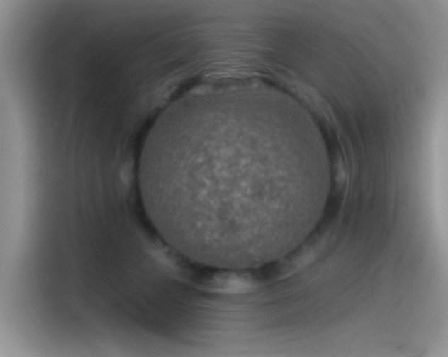 X0000115490559200911131238
