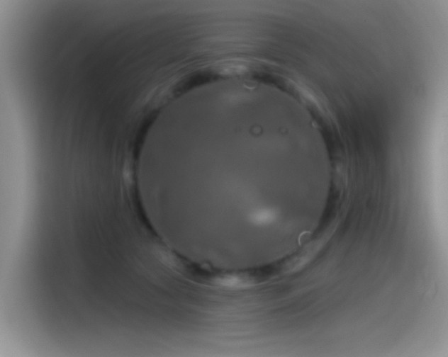 X0000115490561200911131238