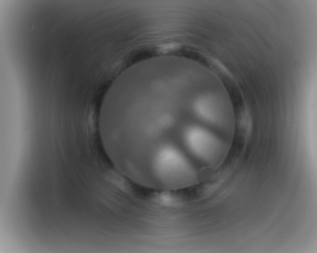 X0000115490565200911131238
