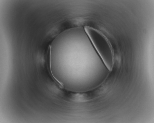 X0000115490566200911131238