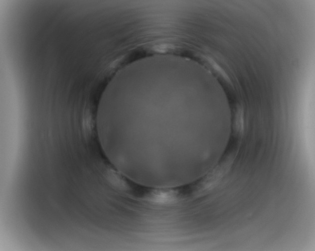 X0000115490569200911131238