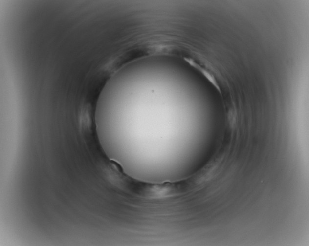 X0000115490570200911131238