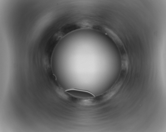 X0000115490573200911131238