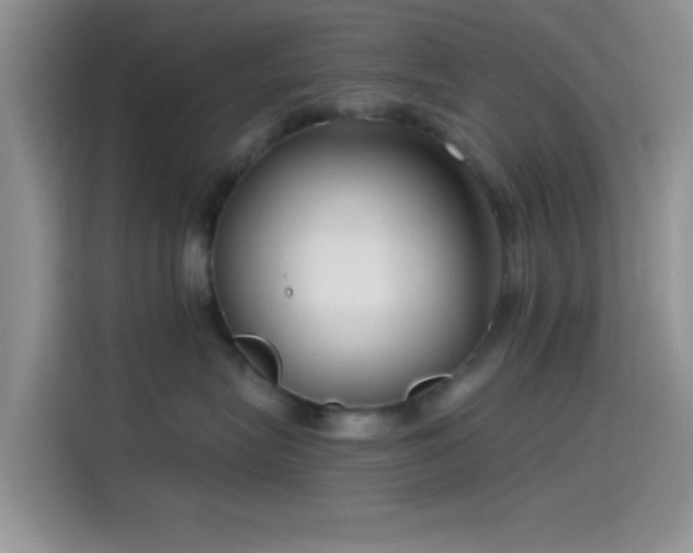 X0000115490575200911131238