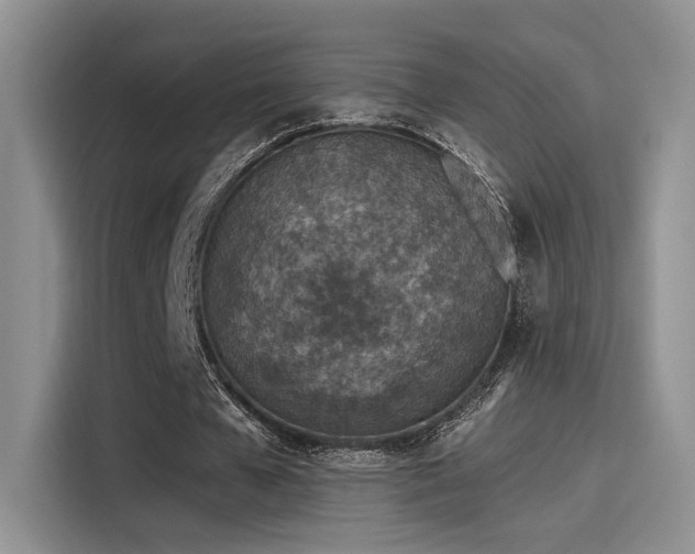 X0000115490577200911131237