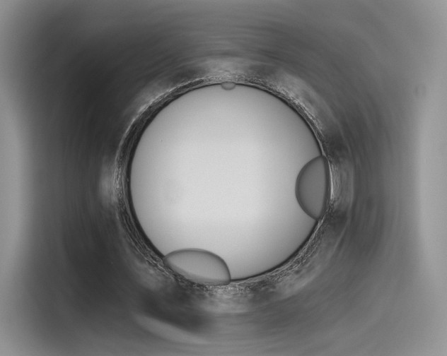 X0000115490579200911131237